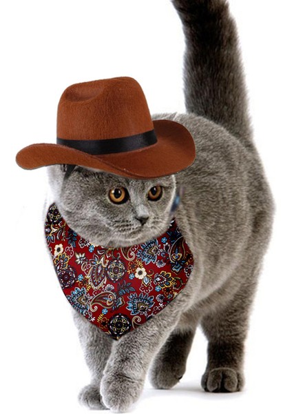 Evcil Şı I Kapakları Evrensel Dekor Headdress Kırmızı (Yurt Dışından) fırsatları