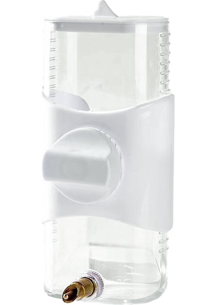 Papağan Kuş Ğu Küçük Için Sultan Papağanı Orta Boy (Yurt Dışından)