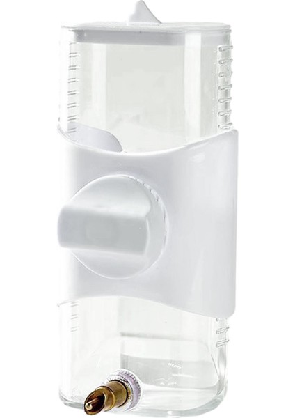 Papağan Kuş Ğu Küçük Için Sultan Papağanı Orta Boy (Yurt Dışından) fiyatları