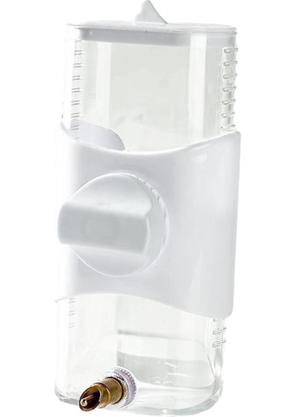 Papağan Kuş Ğu Küçük Için Sultan Papağanı Orta Boy (Yurt Dışından) modelleri