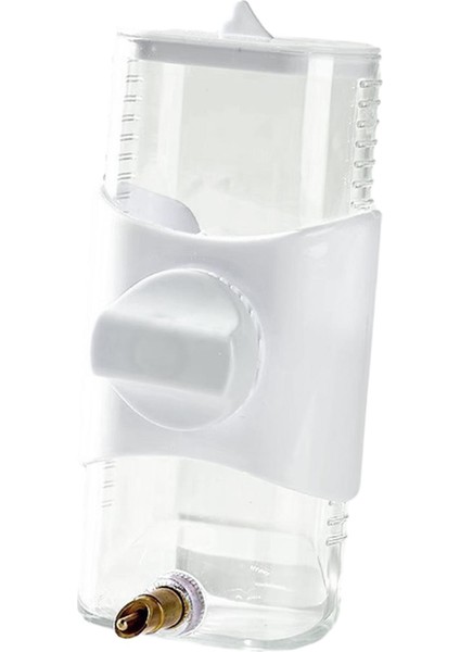 Papağan Kuş Ğu Küçük Için Sultan Papağanı Orta Boy (Yurt Dışından) fırsatları