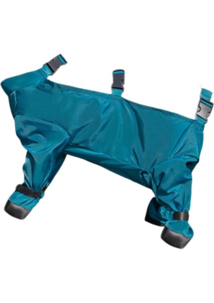 Pantolon Köıyafetleri Koruyucusu Evcil Yürüyüşü L (Yurt Dışından) fırsatları