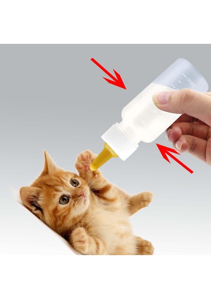 Pet Besleyici Set Hemşirelik Şişesi Su Kasesi Yedek Sarı (Yurt Dışından) indirimleri