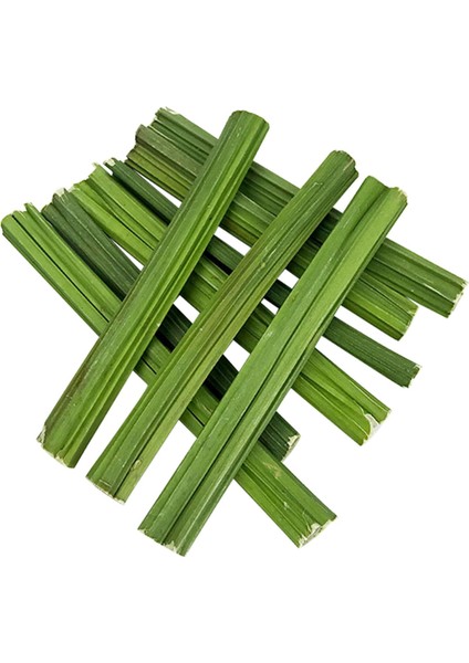 Molar Oyuncak Papaya Ü, Çubuk Temizleme Diş Fırçası (Yurt Dışından)