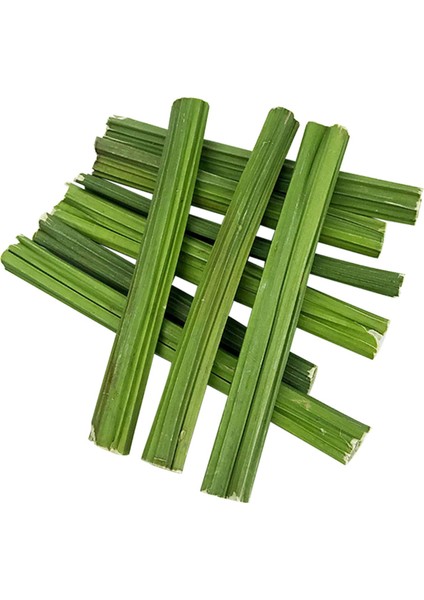 Molar Oyuncak Papaya Ü, Çubuk Temizleme Diş Fırçası (Yurt Dışından) fiyatları