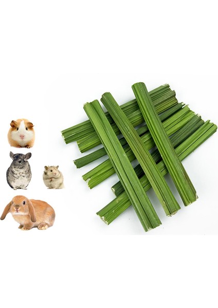 Molar Oyuncak Papaya Ü, Çubuk Temizleme Diş Fırçası (Yurt Dışından) modelleri