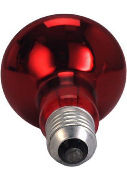 Pet Isı Işıkları Ampul Aydınlatma Cihazı Vivarium Için Sürüngen Isıtma Lambası (Yurt Dışından)