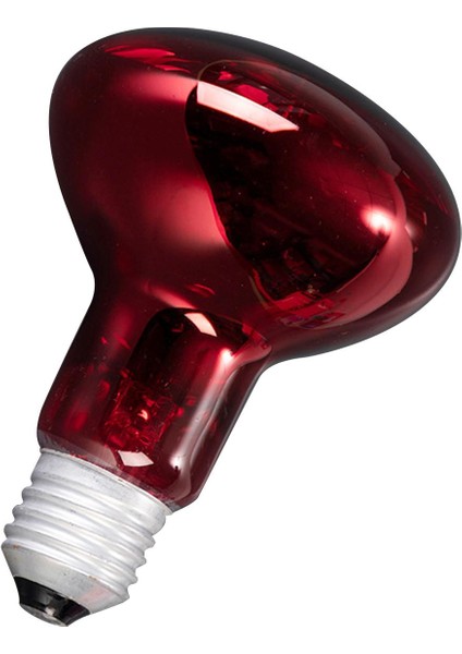 Pet Isı Işıkları Ampul Aydınlatma Cihazı Vivarium Için Sürüngen Isıtma Lambası (Yurt Dışından) fiyatları