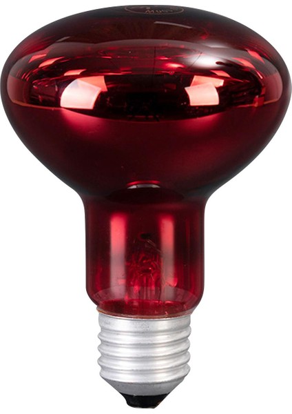 Pet Isı Işıkları Ampul Aydınlatma Cihazı Vivarium Için Sürüngen Isıtma Lambası (Yurt Dışından) modelleri