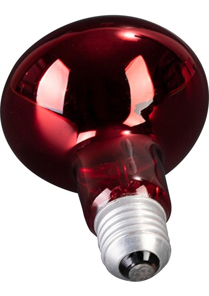 Pet Isı Işıkları Ampul Aydınlatma Cihazı Vivarium Için Sürüngen Isıtma Lambası (Yurt Dışından) fırsatları