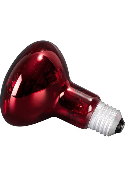 Pet Isı Işıkları Ampul Aydınlatma Cihazı Vivarium Için Sürüngen Isıtma Lambası (Yurt Dışından) indirimleri