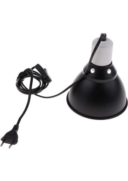 Sürüngen Ampul (Yurt Dışından) fiyatları