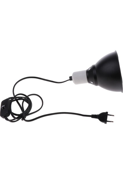 Sürüngen Ampul (Yurt Dışından) fırsatları