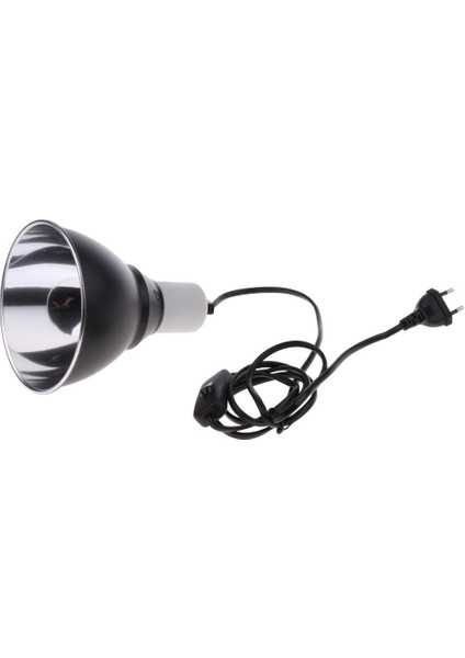 Sürüngen Ampul (Yurt Dışından) indirimleri