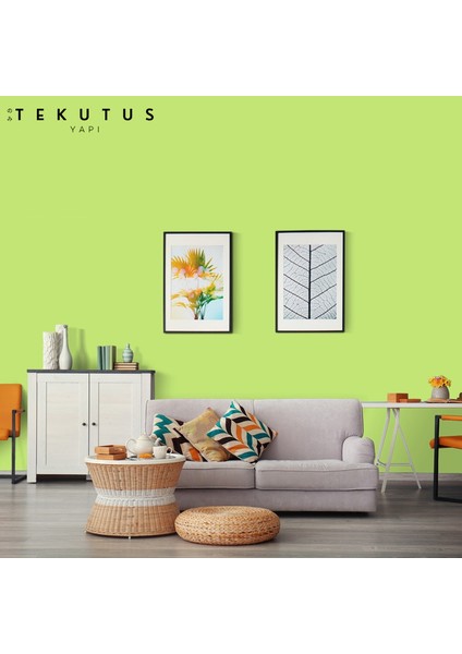 Momento Silan Silikonlu Iç Cephe Boyası 15 L Çayır / F-319 modelleri