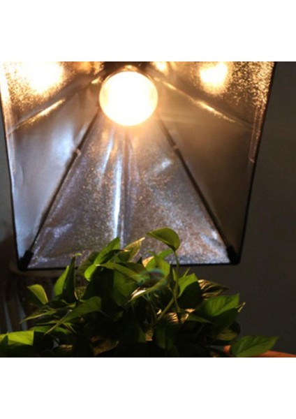 Pet Sürüngen Ştiriciliğı Lambası Ampul Kızı Isıtıcı Kaz (Yurt Dışından) fiyatları