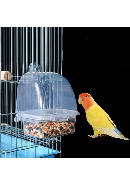 Şu Için Kuş Besleyici Kabı Kar Önleyici Şeffaf Papağan Besleyici (Yurt Dışından) fırsatları