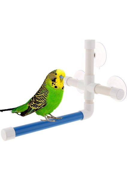 Papağan Banyosu Tünemiş Ayakta Penceresi (Yurt Dışından) fırsatları