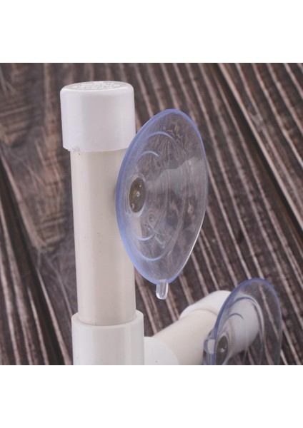 Papağan Banyosu Tünemiş Ayakta Penceresi (Yurt Dışından) indirimleri