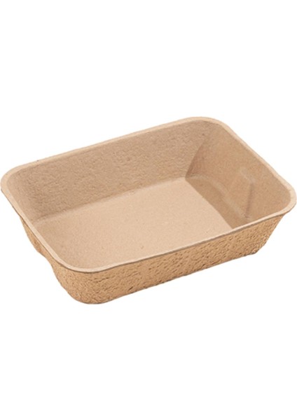 Cat Açık Yüksek Önleme ve S (Yurt Dışından)