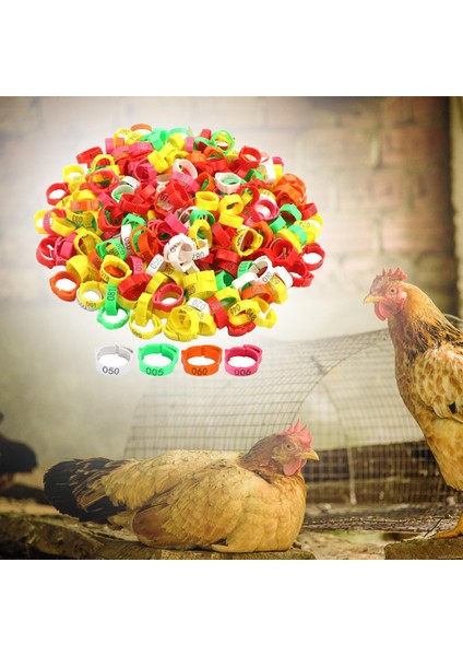 100X Halkaları Bacak Bantları Kaz Ördekler Için Bacak Bantları (Yurt Dışından) modelleri