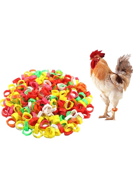 100X Halkaları Bacak Bantları Kaz Ördekler Için Bacak Bantları (Yurt Dışından) indirimleri