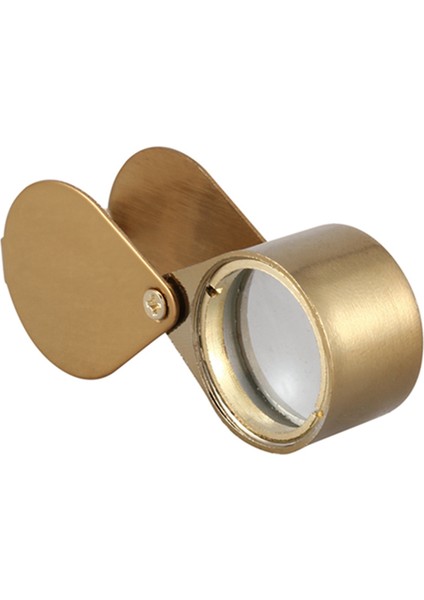 1 Pcs 30X Güç 21MM Katlanabilir Altın Büyüteç Cam ve 100 Pcs Ahşap Diskler Dilimler Çiçek Şekli Bitmemiş Kesikler Zanaat (Yurt Dışından) indirimleri