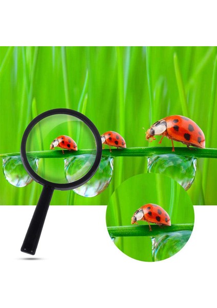 Çocuklar Büyüteç 32 Adet, Plastik El Tipi Mini Taşınabilir Büyütme Cam Küçük Çocukları Büyüteç Için Oyuncaklar Explorer (Yurt Dışından) fiyatları