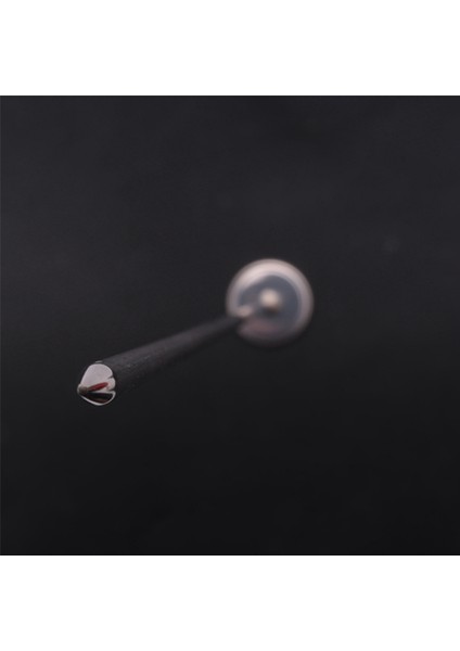 6x Kompost Toprak Termometresi 20 Inç 50 cm Uzunluk Premium Gıda Sınıfı Paslanmaz Çelik Ölçüm Probu Detektörü (Yurt Dışından)