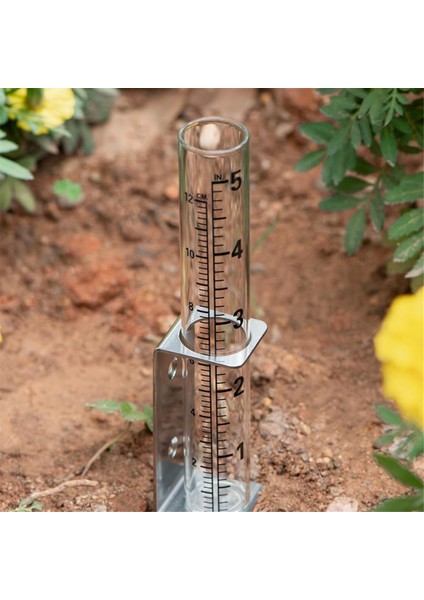 5 Inç Kapasiteli Tüplü Dış Mekan, 2&#39;den 1 Paslanmaz Çelik Tutucu - Bahçe Için Hassas Yağmur Ölçümü, Çimenler (Yurt Dışından) indirimleri