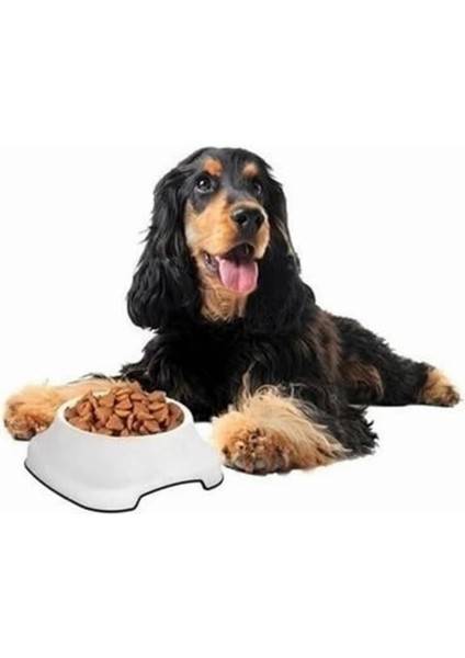 Kedi Köpek Mama ve Su Kabı 2l Silikon Kaydırmaz Taban