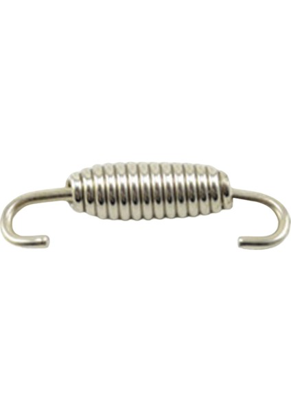 Motosiklet Egzoz Borusu Yaylı Profesyonel Evrensel Atv 55MM Argent Oval (Yurt Dışından) indirimleri