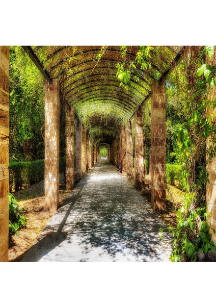 Ağaçlı Yol Desenli Isı ve Ses Yalıtımlı Sağlıklı Tekstil Duvar Kağıdı modelleri