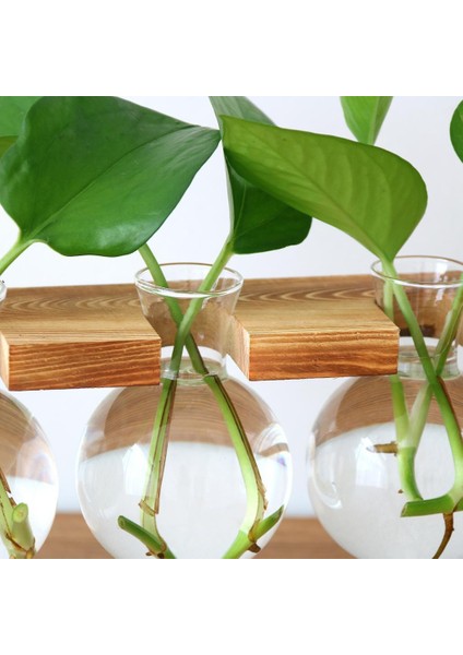 Ahşap Çiçek Pot Raf Fabrikası Sepet 3-Vase 3 (Yurt Dışından) fırsatları