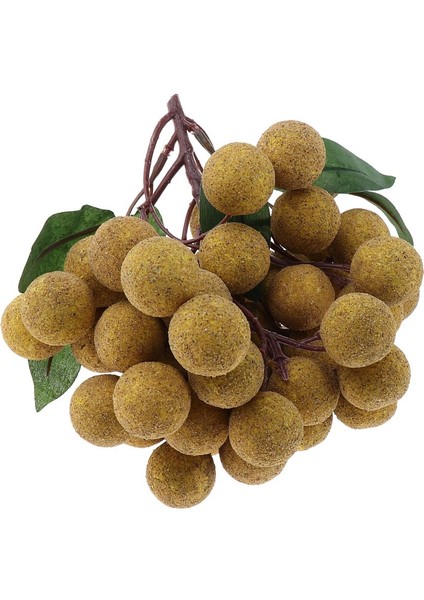 Çocuklar Için 1x Meyveler Paly ve Learnan- Longan (Yurt Dışından)