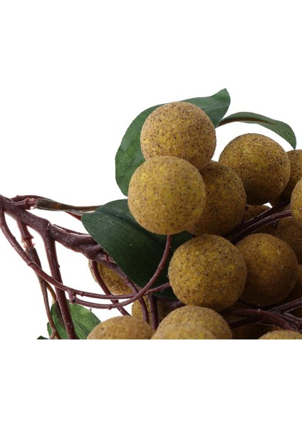 Çocuklar Için 1x Meyveler Paly ve Learnan- Longan (Yurt Dışından) modelleri