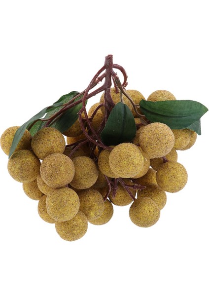 Çocuklar Için 1x Meyveler Paly ve Learnan- Longan (Yurt Dışından) fırsatları