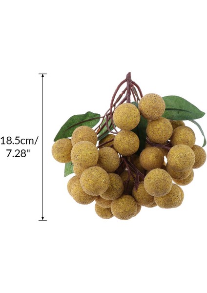 Çocuklar Için 1x Meyveler Paly ve Learnan- Longan (Yurt Dışından) indirimleri