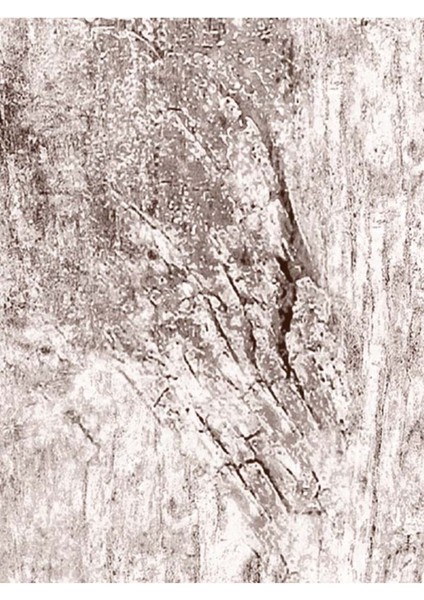 Gri Yaşlı Ağaç Desenli Isı ve Ses Yalıtımlı Sağlıklı Tekstil Duvar Kağıdı modelleri