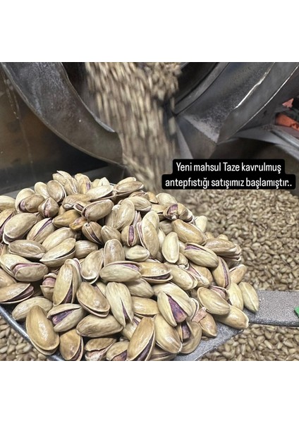 Kavrulmuş Antep Fıstığı