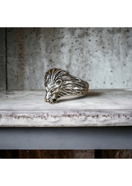 4 Adet 925 Ayar Gümüş Kaplama Ayarlanabilir Erkek Kadın Hayvanlar Kurt Koç Kartal Aslan Yüzük Seti fiyatları