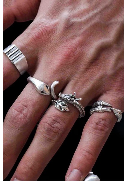 4 Adet 925 Ayar Gümüş Kaplama Ayarlanabilir El Yapımı Erkek Kadın Yılan Pençe Ejderha Yüzük Seti