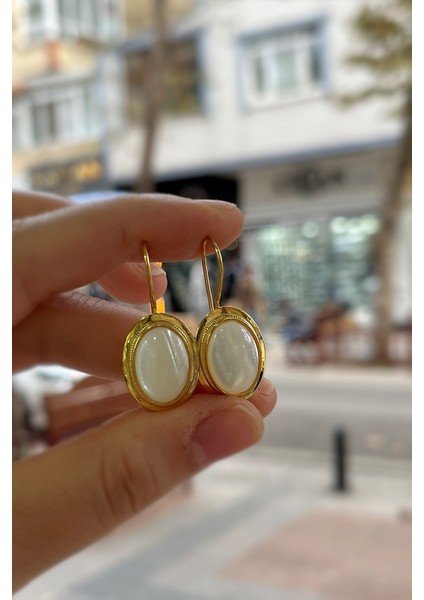 Gümüş Sedef Taşlı Küpe HS794E36 fiyatları