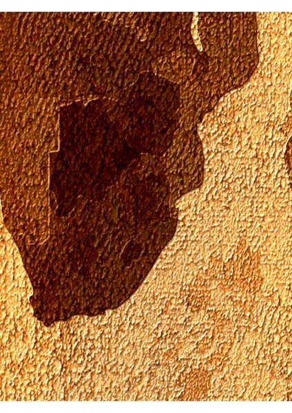 Vintage Harita Desenli Isı ve Ses Yalıtımlı Sağlıklı Tekstil Duvar Kağıdı modelleri