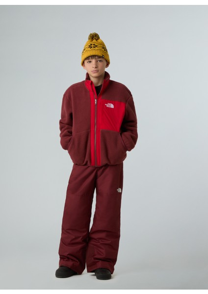 Düz Kırmızı Erkek Çocuk Polar Üst NF0A8AZGDI91-B Yumıorı Full Zıp Jac fiyatları