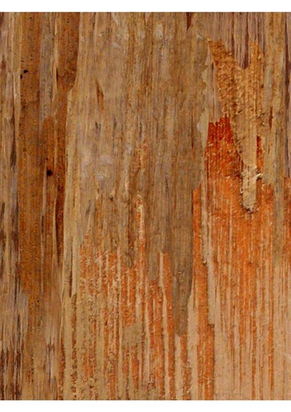 Eskitme Ahşap Desenli Isı ve Ses Yalıtımlı Sağlıklı Tekstil Duvar Kağıdı modelleri