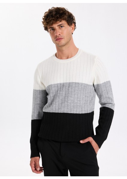 Bisiklet Yaka Slim Fit Düz Siyah Erkek Kazak F5WM-KZK 2272