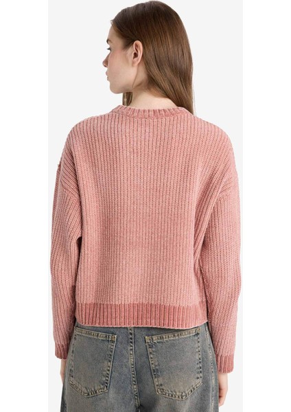 Regular Fit Bisiklet Yaka Şönil Kazak C6227AX25CW