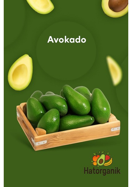 Avokado Dalından Yeni Toplanmış Günlük Taze 3 kg