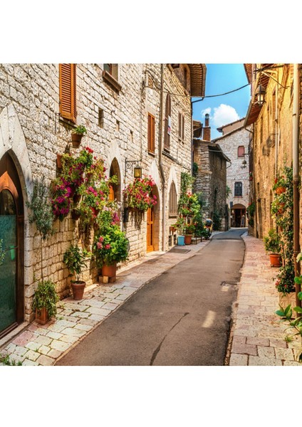 Çiçekli Sokak Isı ve Ses Yalıtımlı Sağlıklı Tekstil Duvar Kağıdı modelleri